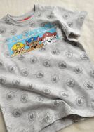 T-shirt szary dla chłopca 
