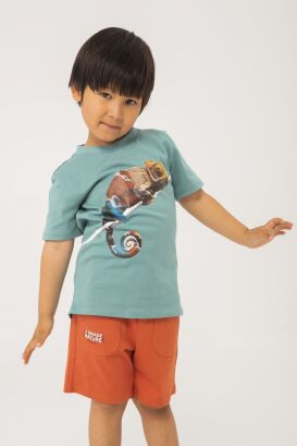 BOBOLI T-shirt dla chłopca " kameleon "  326067-4593